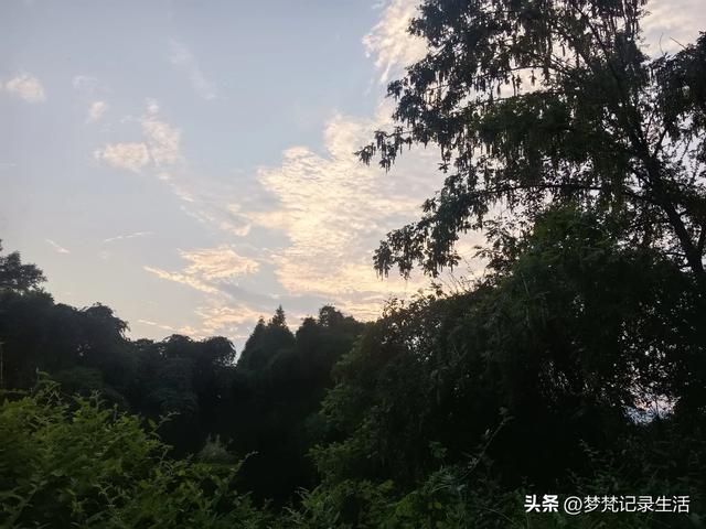 现实和想象是有差距的,老母亲的心结打开了真好