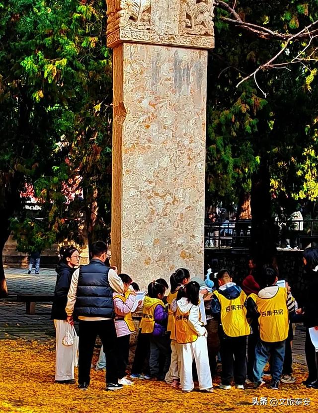 暖到了!身为“高冷古建”的岱庙,背地里在帮大家找回童年?