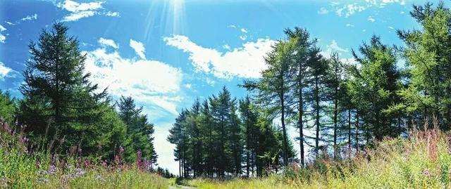 山西这三个县上榜“中国最美”！它们到底美在哪里？