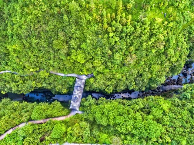 恩施⇋大邱直飞航线首航成功！冬日游恩施，邂逅诗画美景