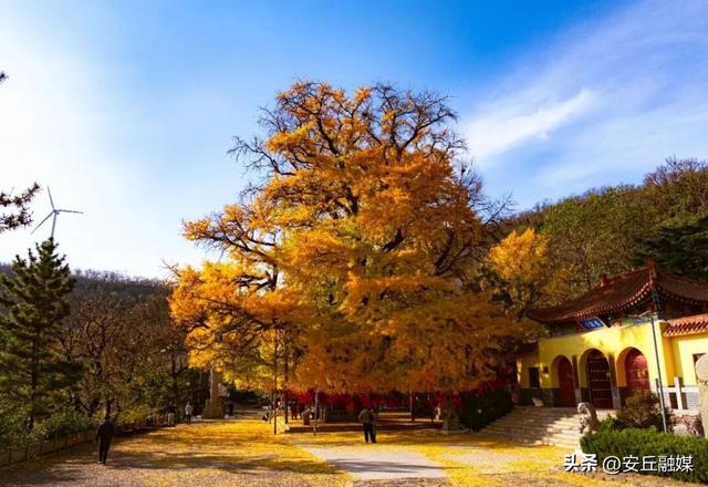 尽收山间好秋色！潍坊登山地图来啦~
