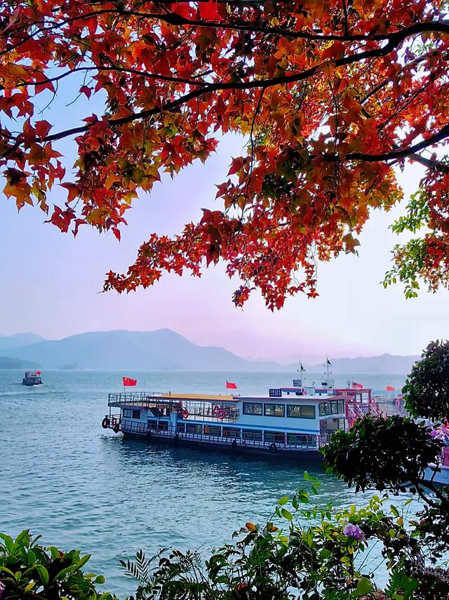 广东哪里赏秋？四条绝美自驾路线遇见南国红叶黄叶