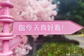 无货源店铺从0到1：高利润类目+低成本起店秘籍图片