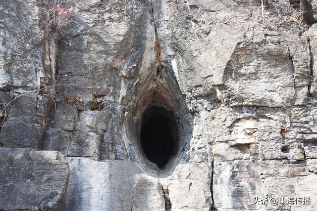 山东费县 | 有一种浪漫叫开往巨龙山的樱花列车