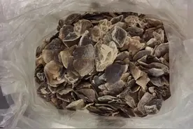 查获一袋穿山甲鳞片图片