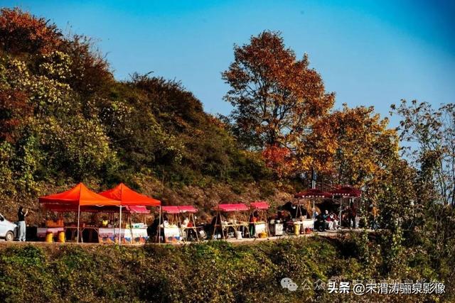 陕西渭南：姹紫嫣红 游人如织 服务周到 韩城香山红叶欣赏正当时