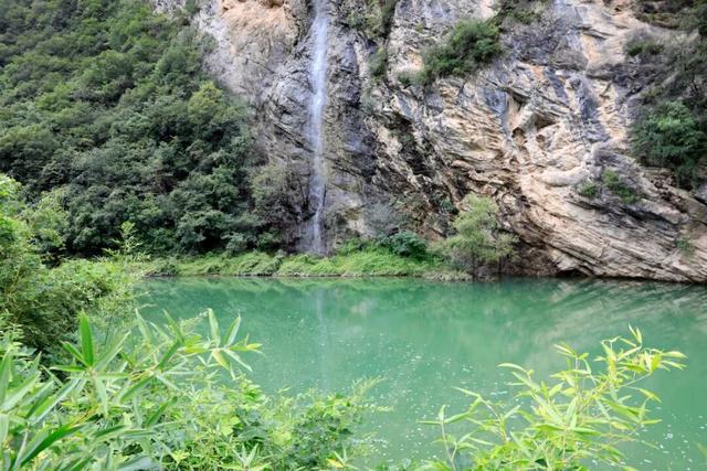 守护生态秘境——走进徽县三滩森林公园