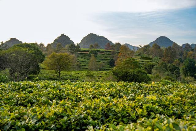 广东英德宝藏玩法：网红村/宋风古镇/仙境茶园/童话寨子全搞定