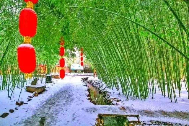 大雪至沂蒙，山水待君游