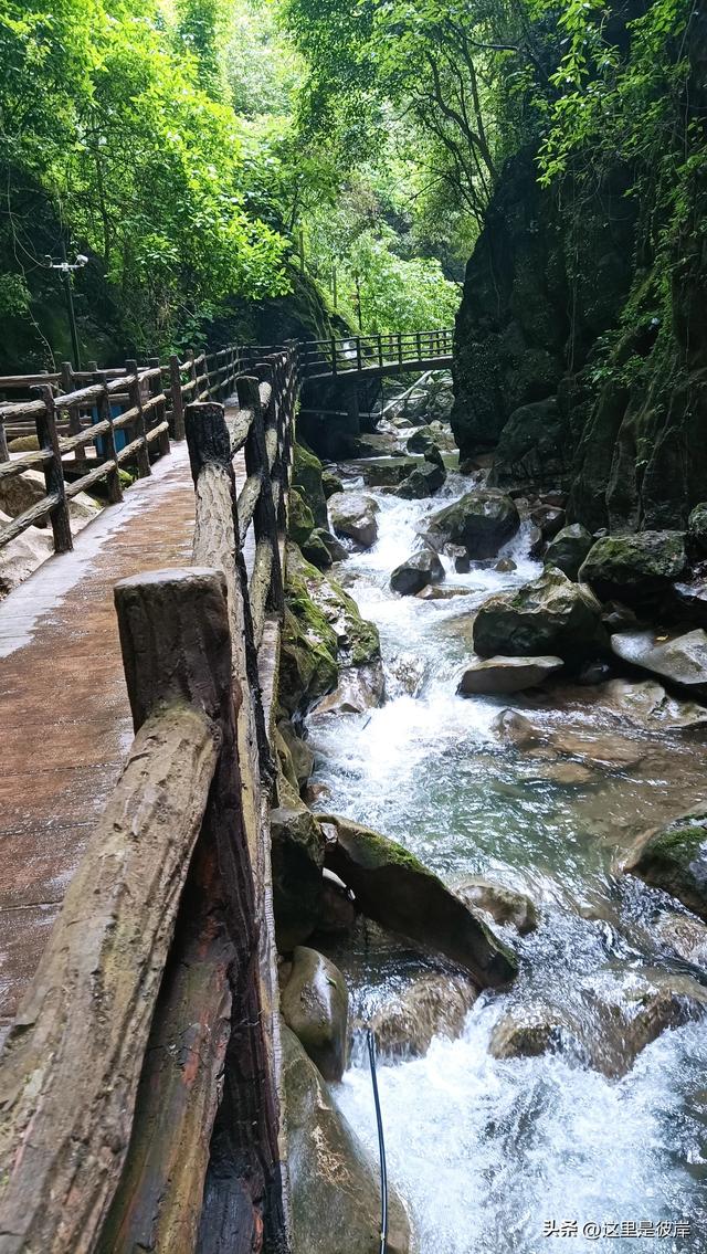带着老爸乘宣威客运巴士去尼珠河大峡谷