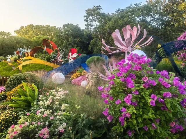 11月30日:2025年上海菊花展华丽登场