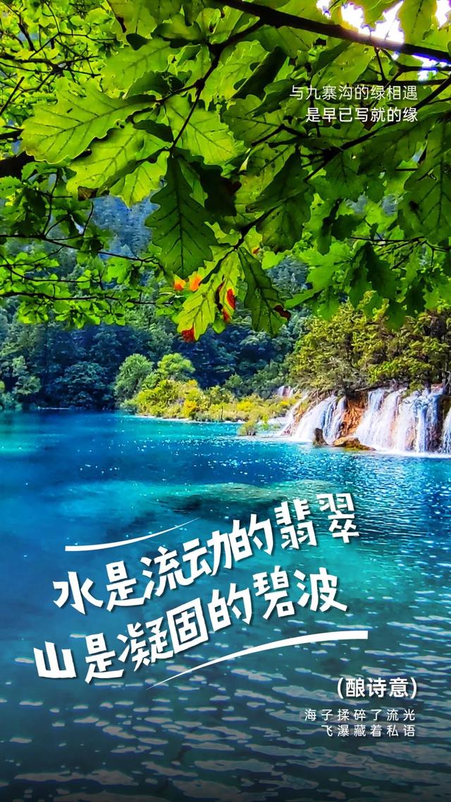 绿染山海，瀑溅七彩，九寨沟八月诗意漫云端