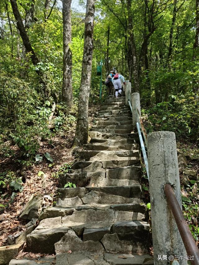 无为在歧路，贵州六日行（15）～梵净山