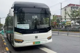 中秋假期，坐“定制班线”去共青森林公园图片