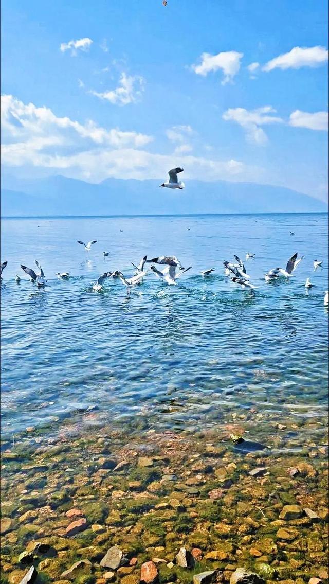 云南最美仙境之一：像海却不是海，许多人都想去玩！