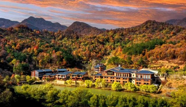 跟着赛事游随县丨大洪山顶级赏秋地更新！银杏最佳观赏期已到！