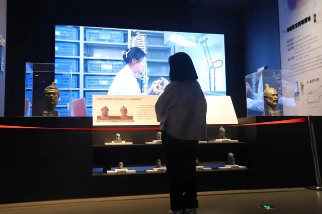 触摸仰韶：在渑池博物馆遇见华夏文明的第一缕曙光