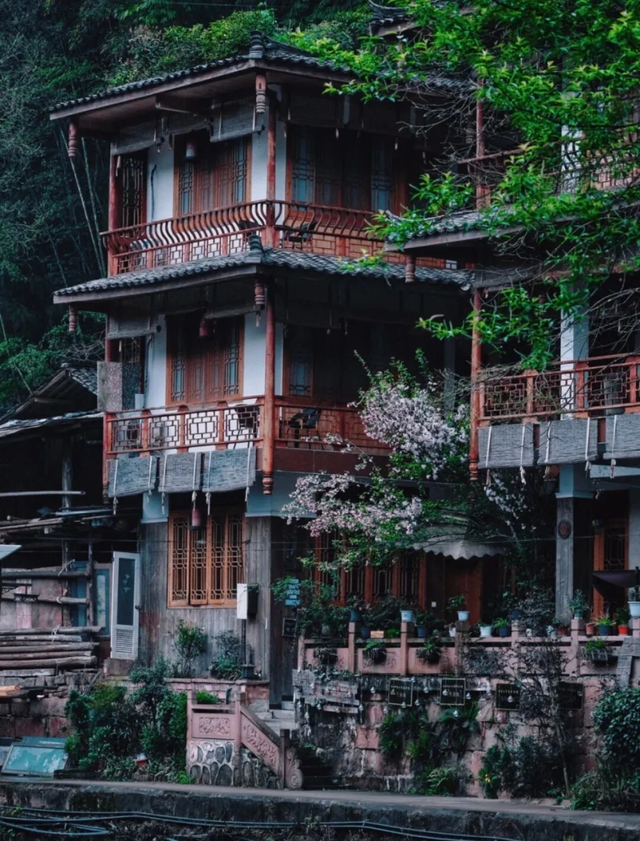 “秋假”开耍！带着小宝来雅安准没错！