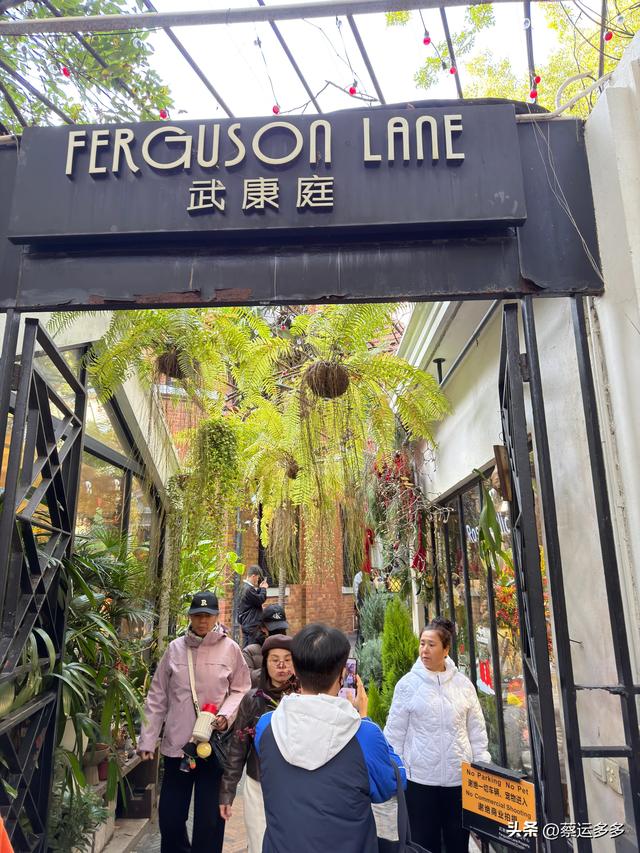 走进上海武康路，走进了历史长河