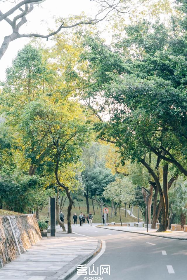 定了！“新”公园来了！景色堪比西湖！