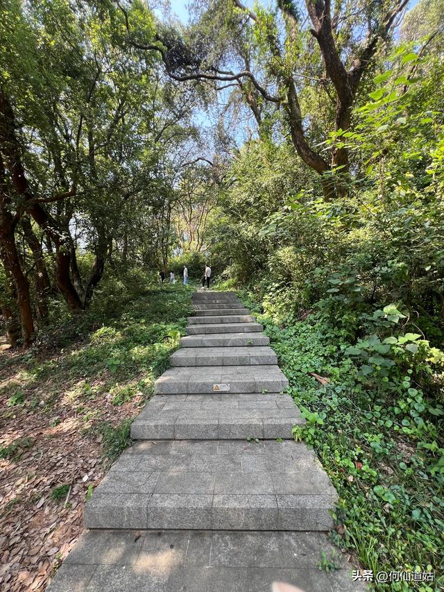 吴城“世界湿地，候鸟王国”