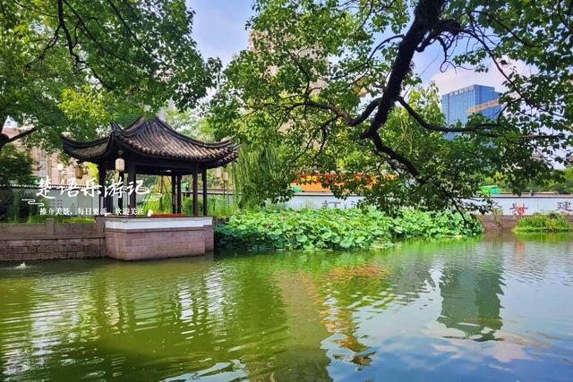浙江宁波最具诗意的风景，荷花亭台相互映衬，古韵盎然景美如画
