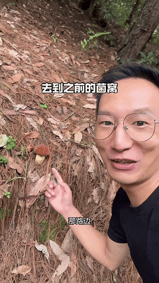 这个季节来云南，抓根树枝我们去“打野”