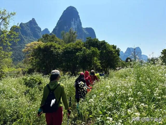 徒步漓江精华段——阳堤大桥头-兴坪古镇