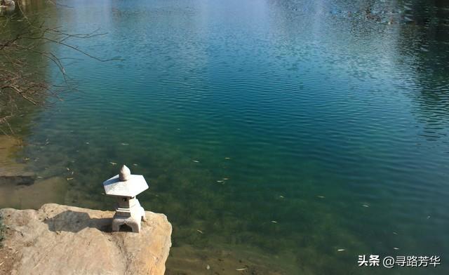 南充行：从枯黄到碧绿的十二小时