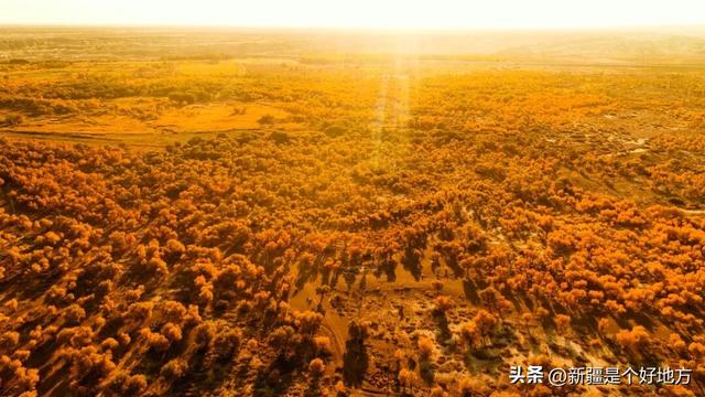 克拉玛依5处小众赏秋地，别只说它「油」了！