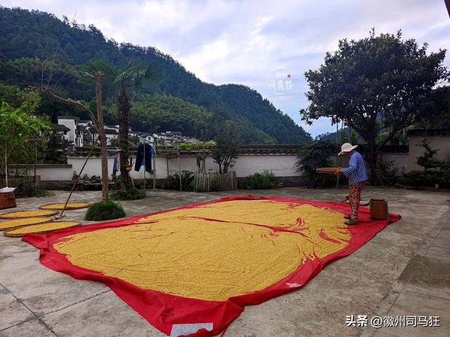 【行走徽州221】前山淩和大墓吴，组合成了歙县萌萌哒的萌坑村