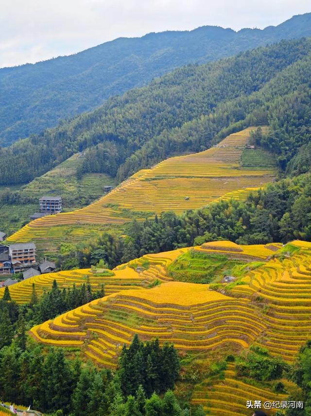 信阳市委书记致辞：以山水人文之韵，奏响城市发展强音