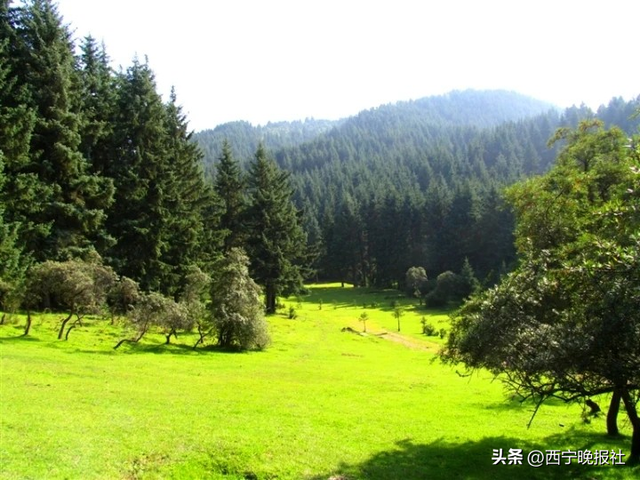 大通千人骑行赏秋景