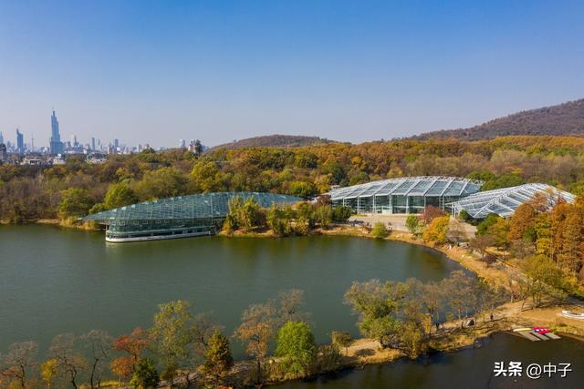 南京的秋天，凭什么这么低调？