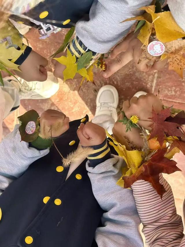 凤凰山秋记|层林尽染处，秋意满临夏