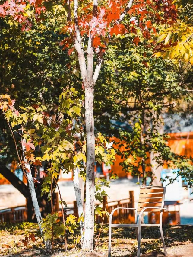 首发动态 | 水长城,藏着北京最美的秋天