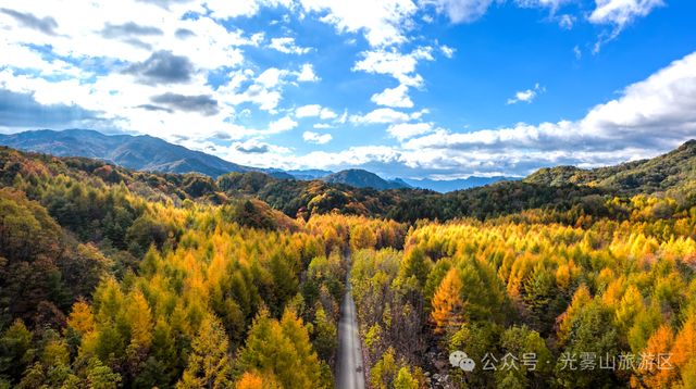 宝子你听我说，近期天气好、红叶美，光雾山可以冲了!