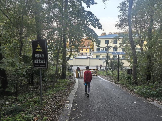 南京紫金山郊野徒步