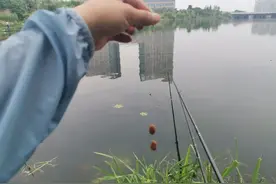 鱼线太粗真会挡口吗？信不信由你，这才是野钓选线的原则图片