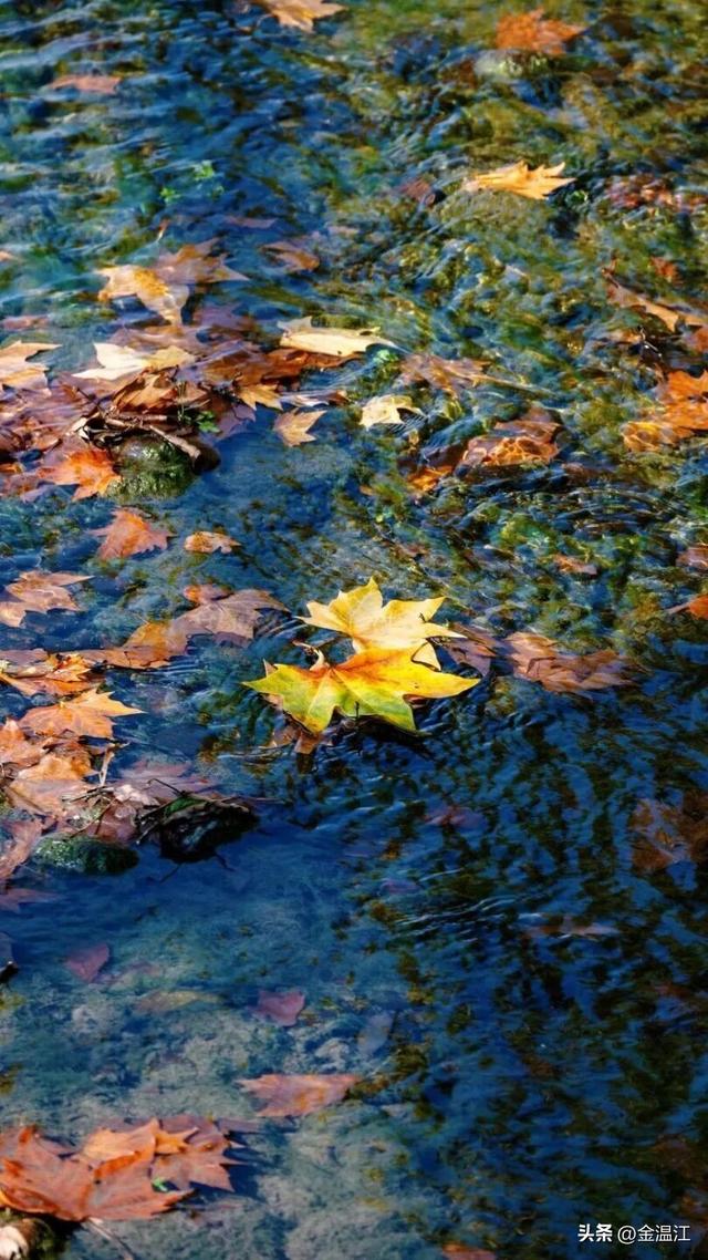 美不胜收！一起遇见温江五彩斑斓的冬~
