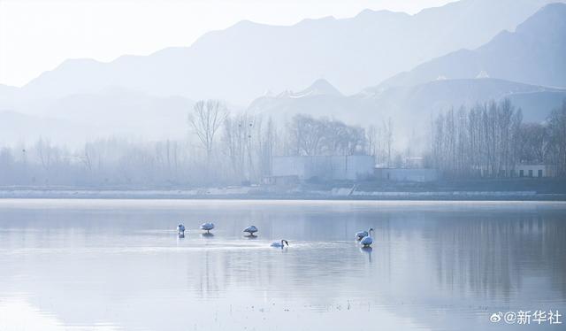【节气里的大美中国·大雪】【绝美壁纸！#冬天里的大美中国#】