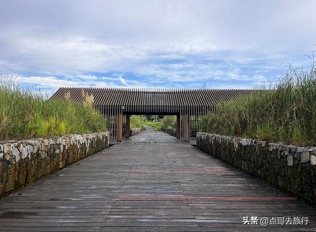 成都隐秘绿洲，三种景致如梦幻，超级惊艳，不要门票，公交直达！