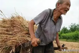 分田单干虽吃饱了饭却富不起来，也不能走大集体老路！办法有三！图片