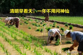 “清明早看天，一年不用问神仙”，今日清明节，有啥说法？图片