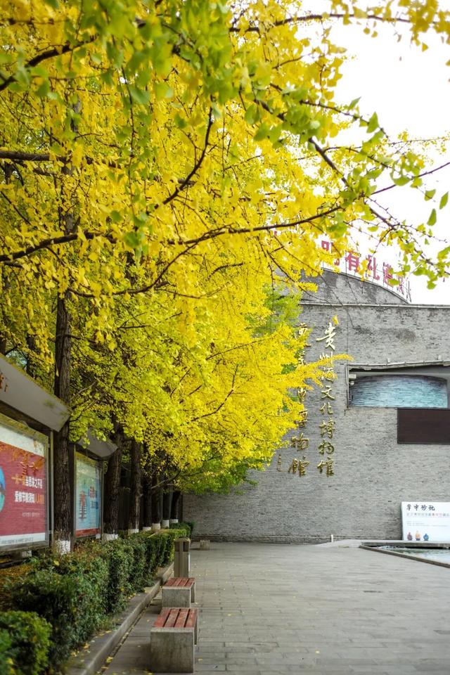 这个“名牌加身”的西南山城，正适合淡季来玩！