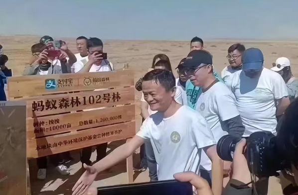 马云斥巨资在沙漠里种树，承诺每年1亿棵，9年过去了，树怎样了