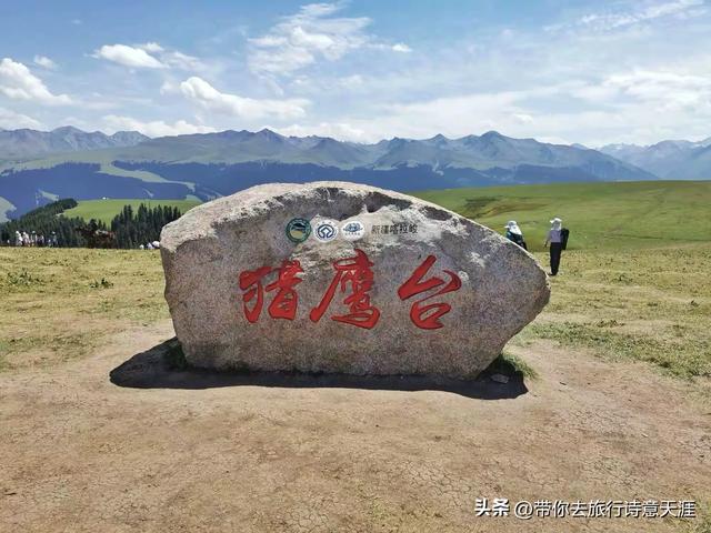新疆喀拉峻草原，花斑森林镶嵌在高山草甸上