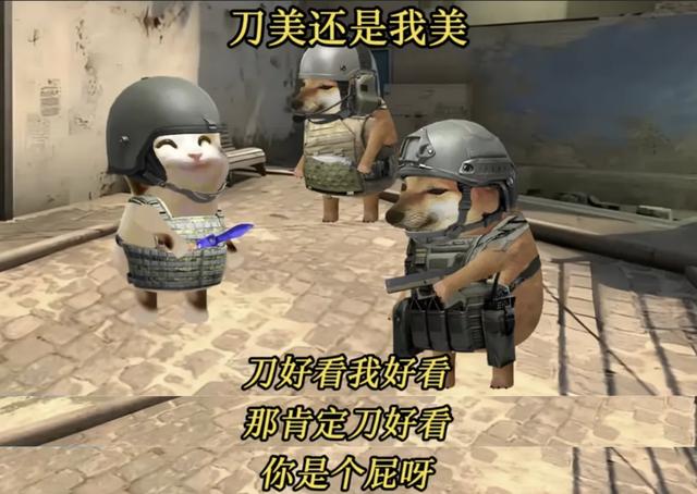 瓦学弟和go学长，吵着吵着就亲上了