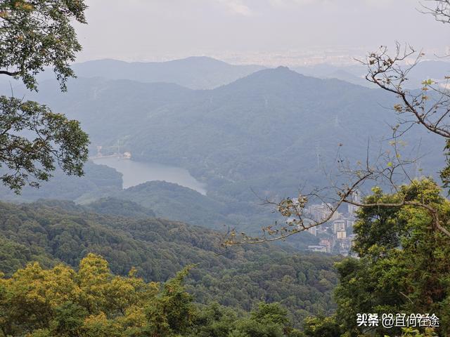 帽峰⼭:山顶有广州最古老岩石，这里红叶，为何在9月就如此红艳？