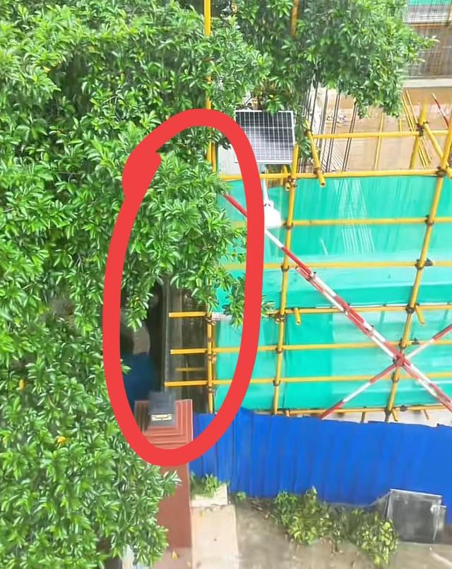 全红婵建房最新进展，邻居需求太苛刻，律师出狠招！婵宝有麻烦？